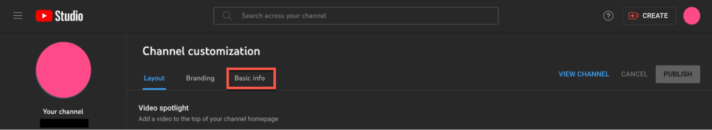 youtube channel customization basic info